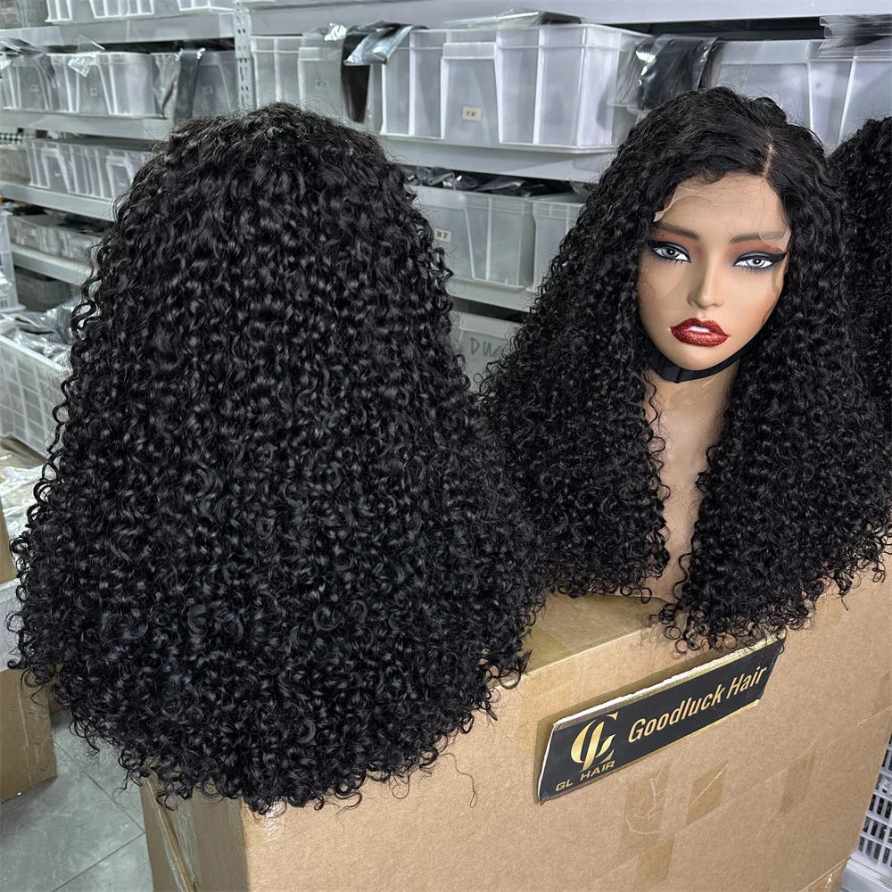 3B 3C Burmese Curly HD Lace Frontal Wig | Brazilian Pixie Curls