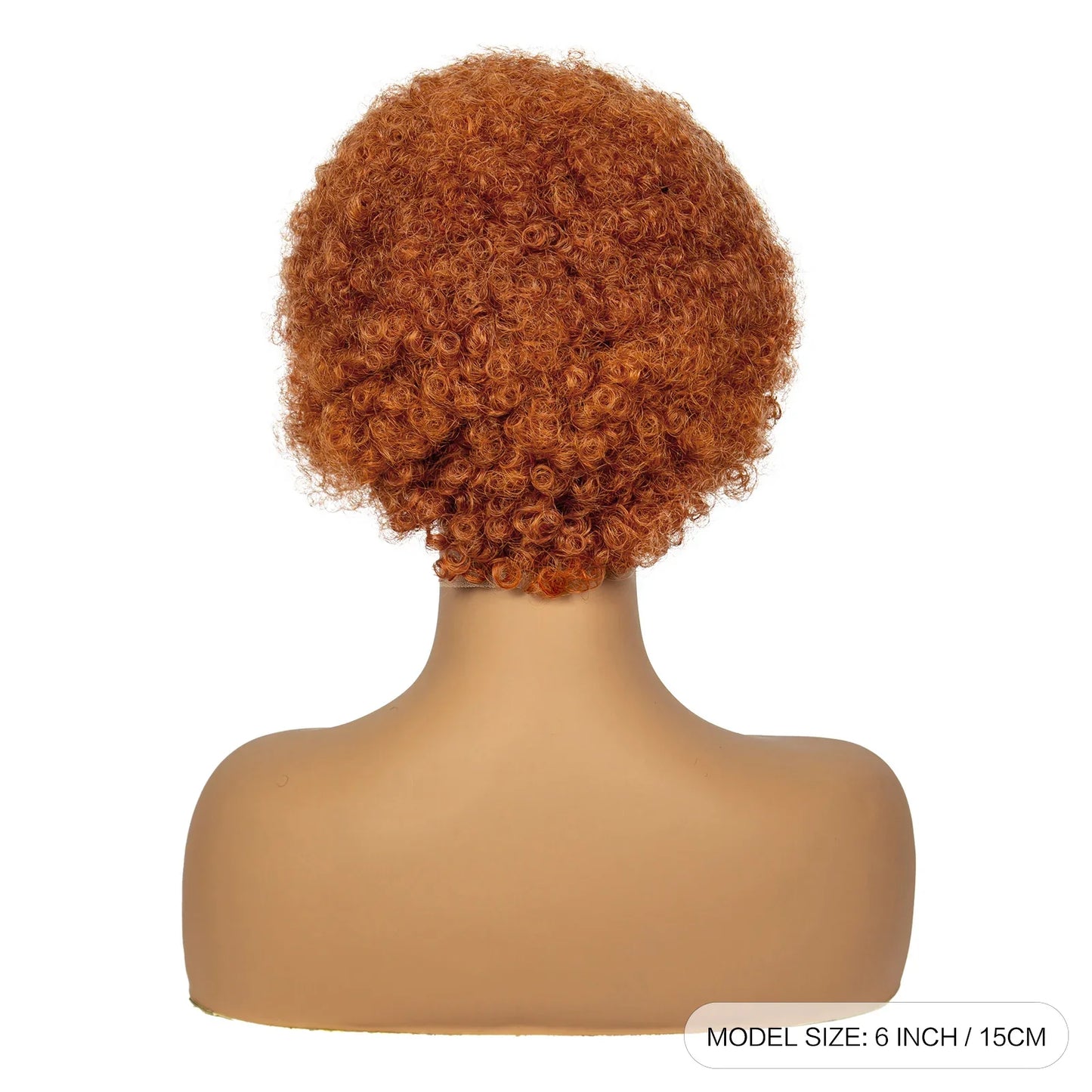 Natural Black Synthetic Braided Wig | 13x4 Transparent Lace Front Short Afro Kinky Curly Braids