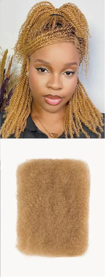 Rebecca Afro Kinky Bulk Human Hair for Braiding | Remy Virgin Brazilian Extensions (Multi-Color)