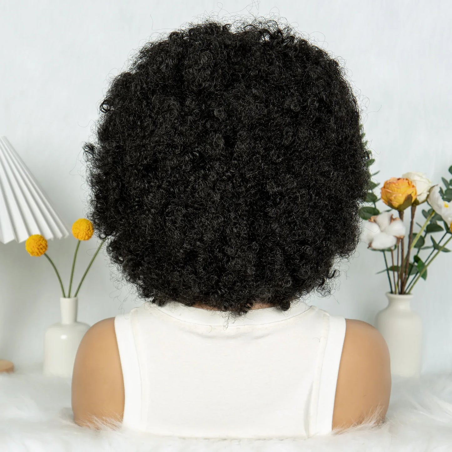Bouncy Afro Cornrow Full Lace Braided Wig | Synthetic Braids | Black Women
