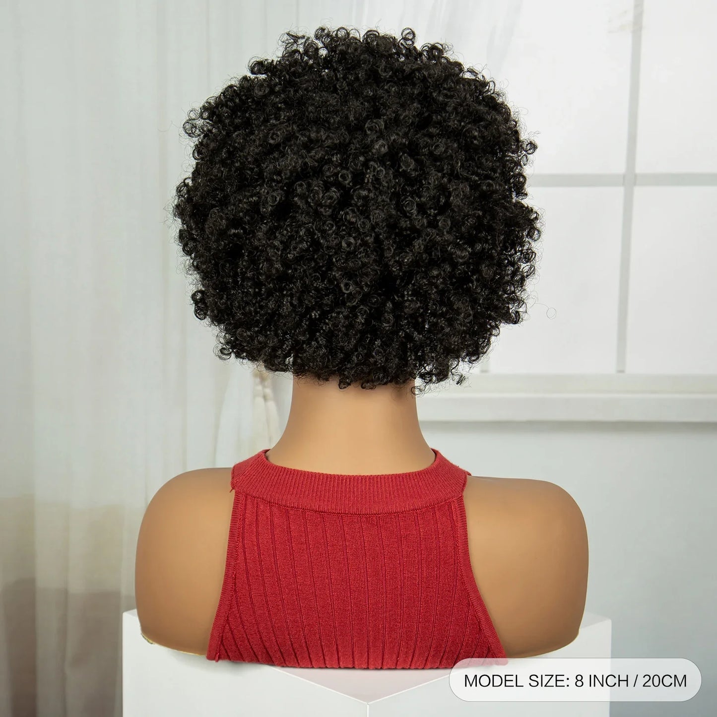 Natural Afro Kinky Curly Braids Bob Wig | Transparent Lace Front | Baby Hair