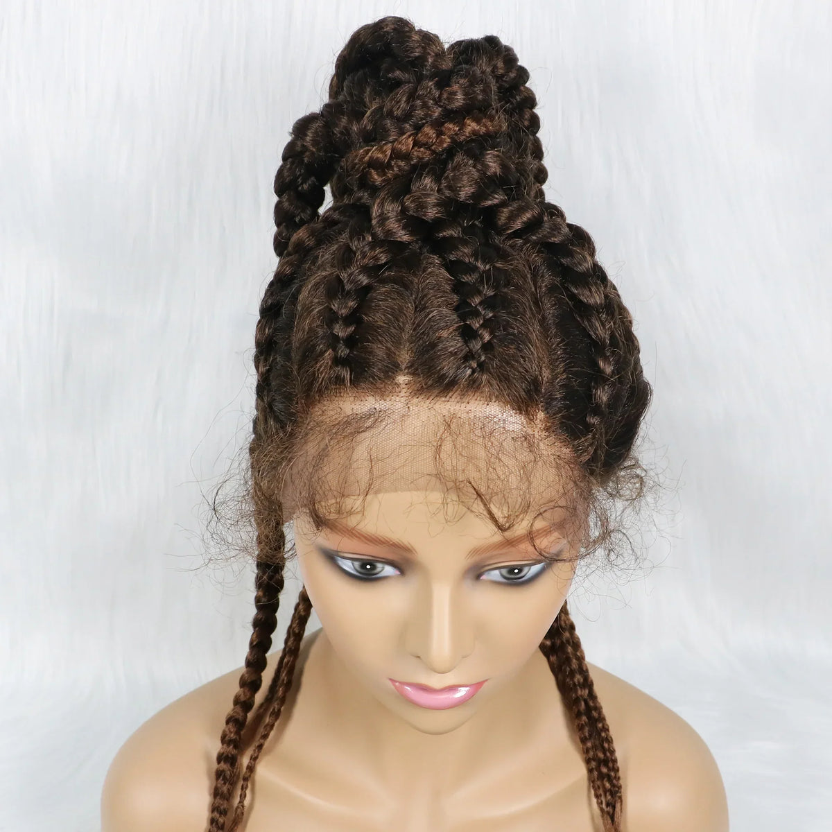 24" Ombre Braided Ponytail Wig | Lace Front with Baby Hair