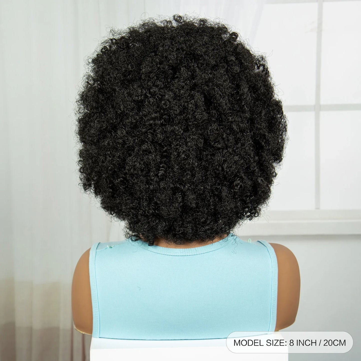 Short Natural Afro Kinky Curly Cornrow Braids Wig | Full Lace | Baby Hair