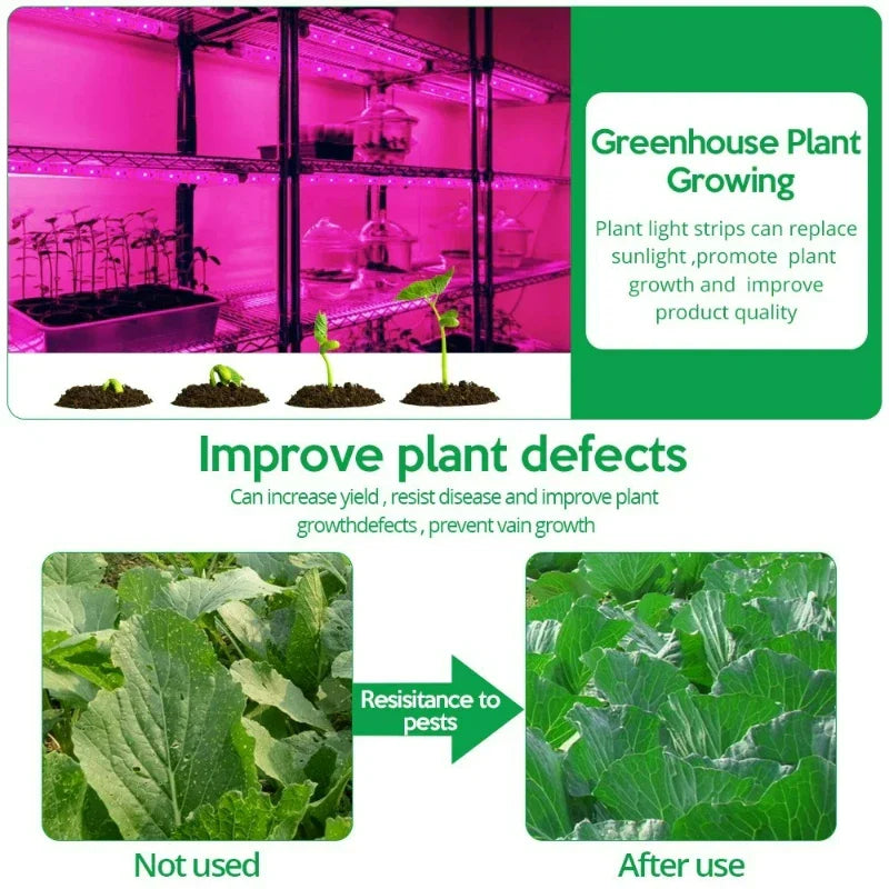 LED Grow Light Full Spectrum 5V USB Grow Light Strip 1m-5m 2835 Chip LED Phyto Lamp for Plants Flowers Greenhouse Hydroponic