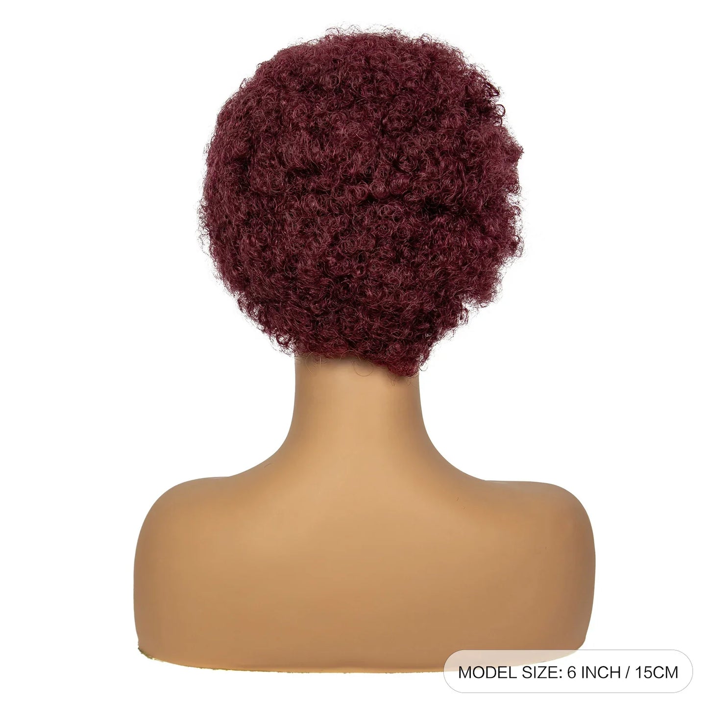 Natural Black Synthetic Braided Wig | 13x4 Transparent Lace Front Short Afro Kinky Curly Braids