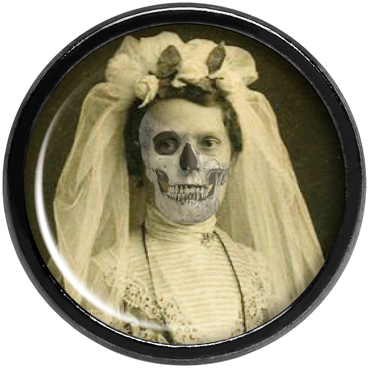 Undead Bride and Groom Halloween Black Anodized Plug Set 00G