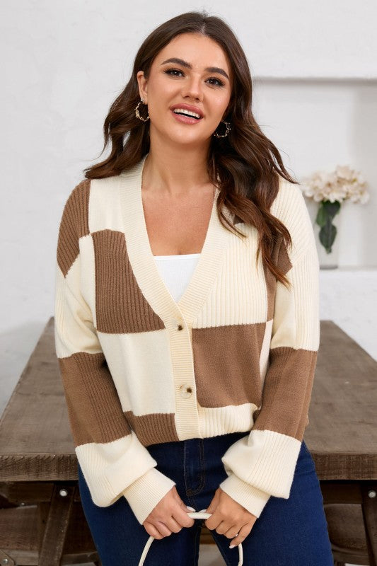 Plus Size Checker Ribbed Knit Buttoned V-Neck Card