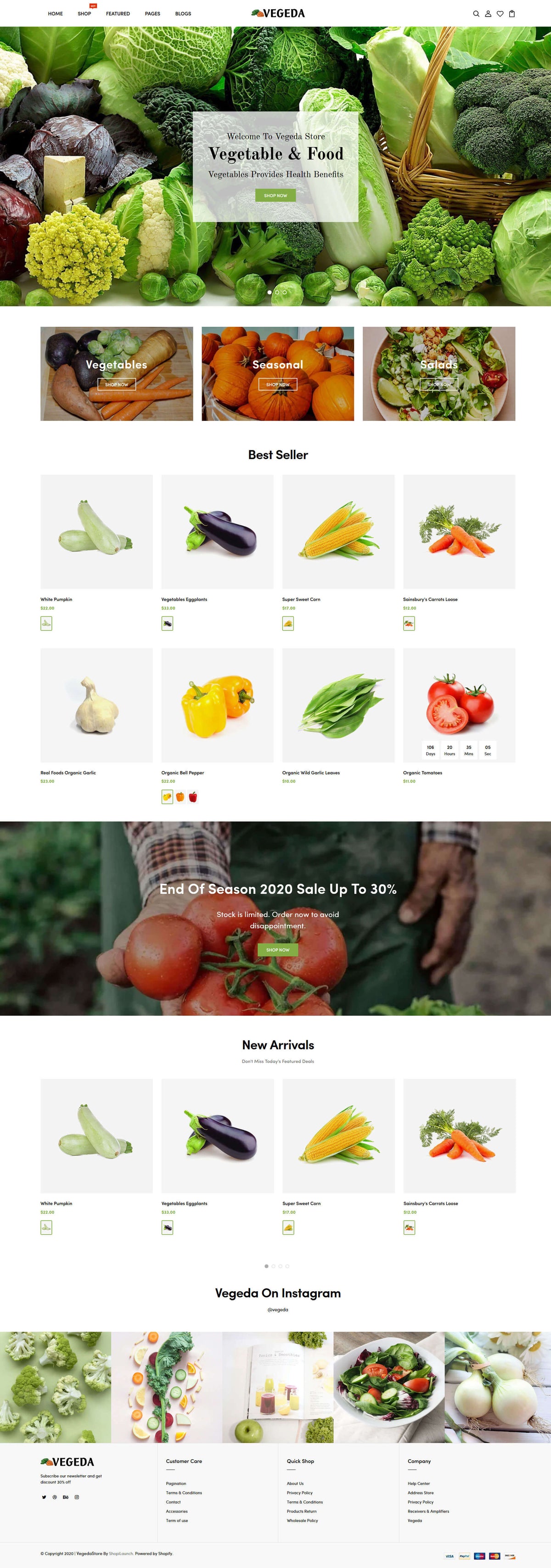 Shopify Theme - Vegeda