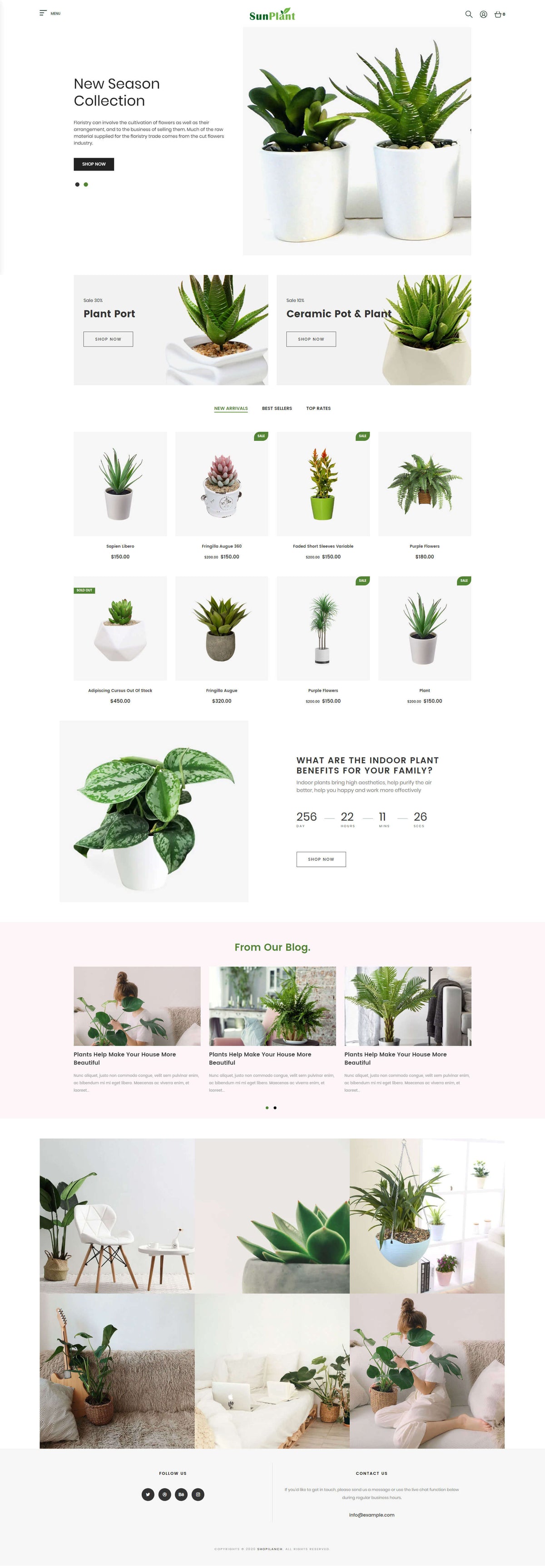 Shopify Theme - Sunplant