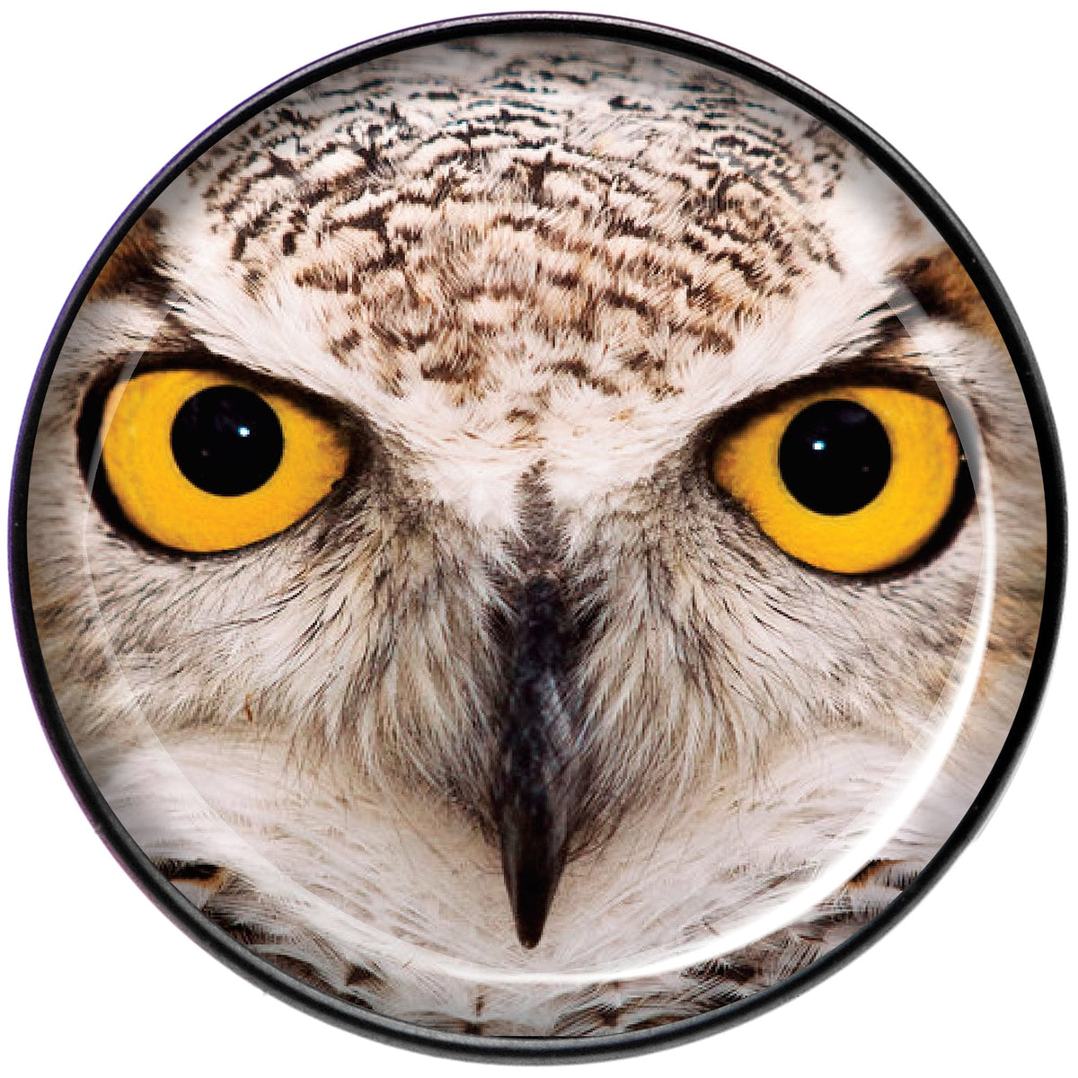 Full Color Owl Black Barbell Tongue Ring