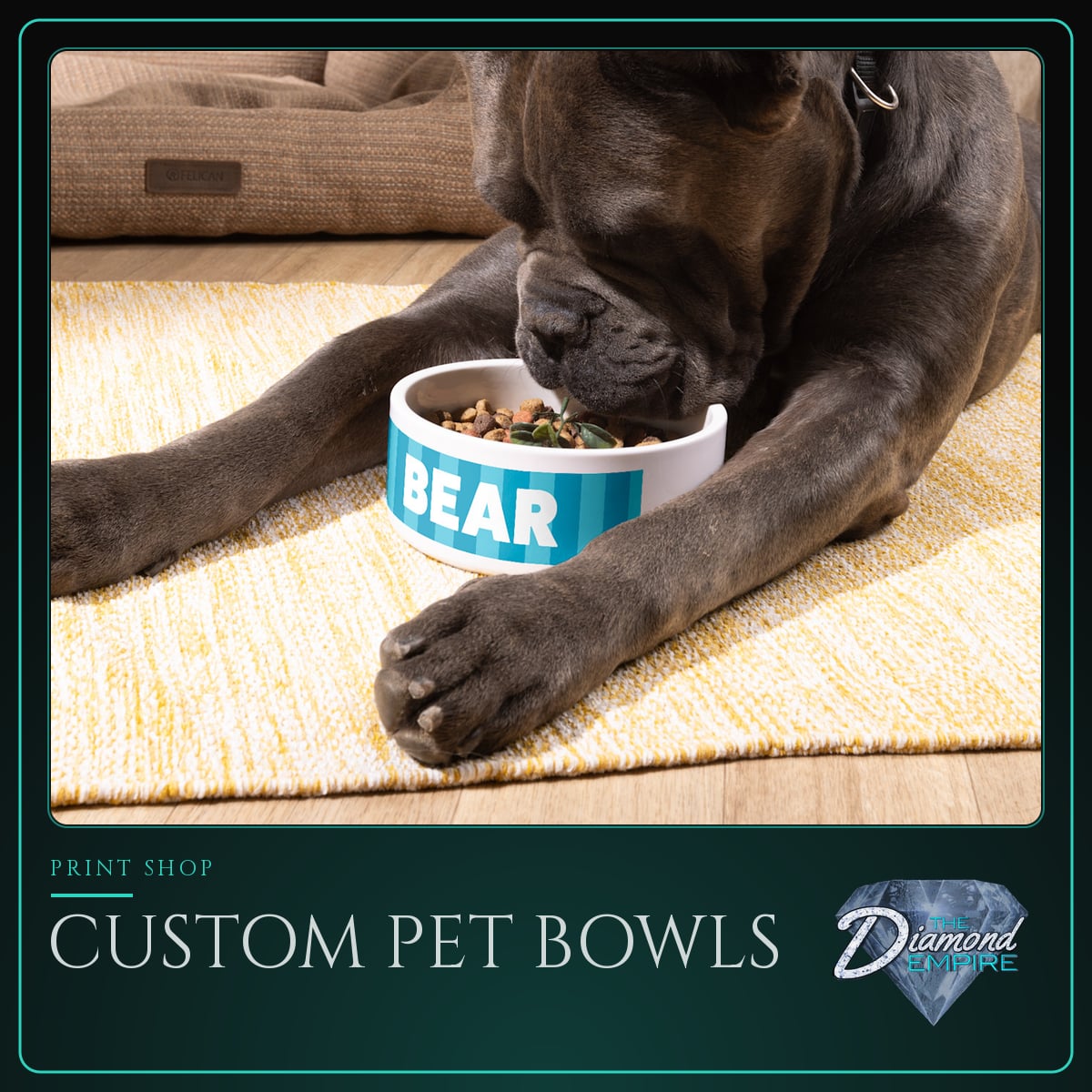 Custom Pet Bowls