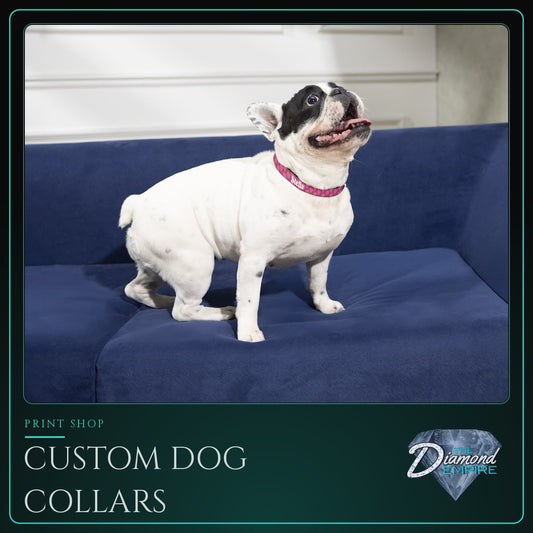 Custom Dog Collars